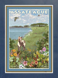 Assateague Island, Maryland & Virginia