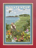 Assateague Island, Maryland & Virginia