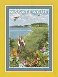 Assateague Island, Maryland & Virginia