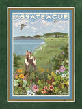 Assateague Island, Maryland & Virginia