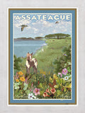 Assateague Island, Maryland & Virginia