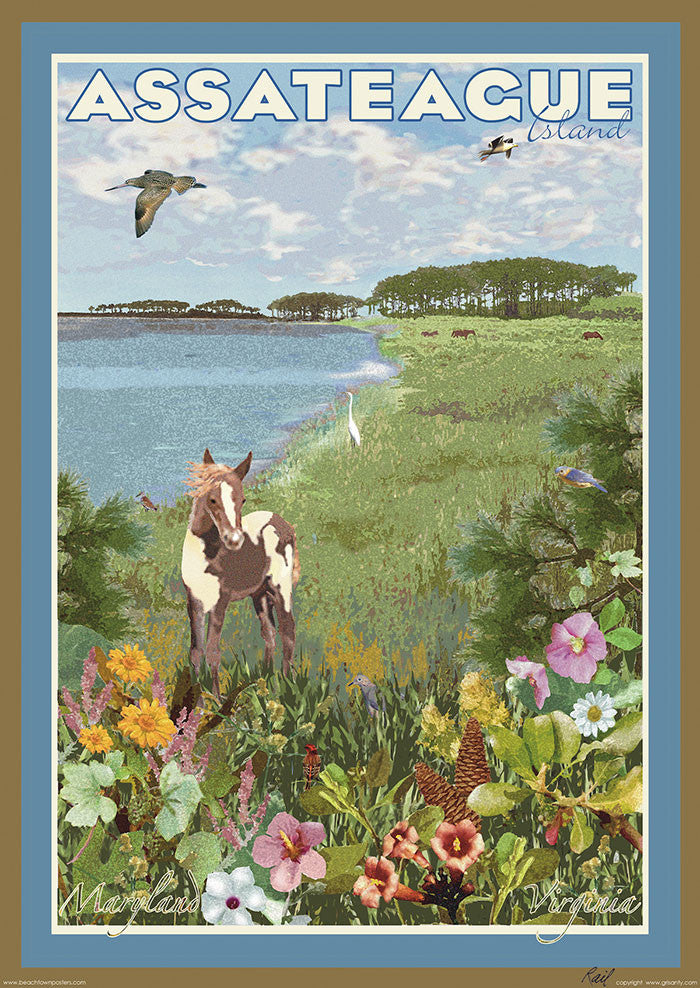Assateague Island, Maryland & Virginia