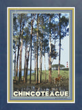 Chincoteague Island, Virginia