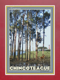 Chincoteague Island, Virginia