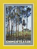 Chincoteague Island, Virginia