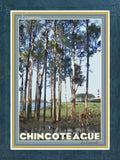 Chincoteague Island, Virginia