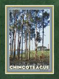 Chincoteague Island, Virginia