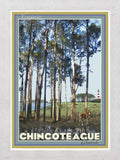 Chincoteague Island, Virginia