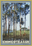 Chincoteague Island, Virginia