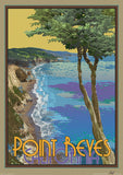 Point Reyes, California