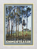 Chincoteague Island